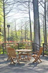 Obraz premium 森の中の休憩所