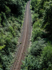 a railway in the spring forest. Tunnel of rails, trees and the railroad