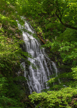 Roaring Brook Falls in the forest © Jennifer