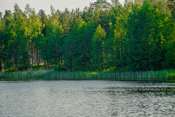 Beautiful summer landscape with river, trees and blue sky