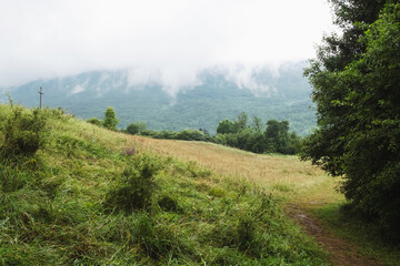 Rain in the green mountain forest of national park Stara Planina Serbia mountains