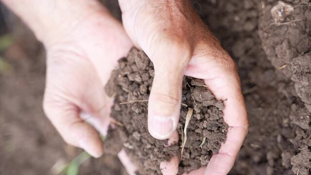 Closeup of man's hands holding some dry land brown ground. Climate change. Global warming. Agriculture. Vertical video.