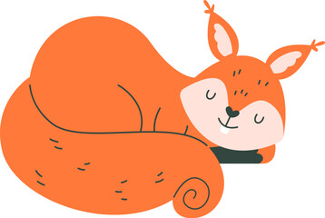 Sleeping Squirrel Animal