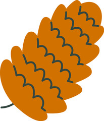 Coniferous Cone Fetus