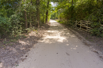 Fototapeta premium Aerial view of a dusty dirt road in Southeastern Texas with a diminishing perspective