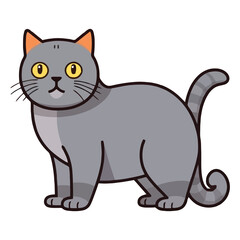 Obraz premium Elegance in Fur: The Enchanting Chartreux Cat Breed