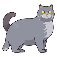 Elegance in Fur: The Enchanting Chartreux Cat Breed
