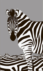 illustration pattern background zebra skin