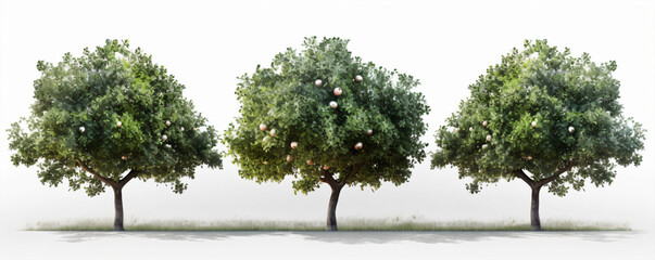 Three trees with balls on a white background. 3d illustration.