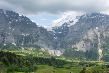 Plakat swiss mountains landscape Grindelwald