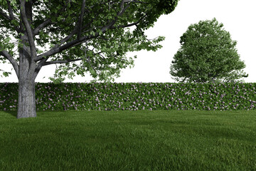 Realistic grass lawn with hedge fence and trees. 3d rendering of isolated objects.
