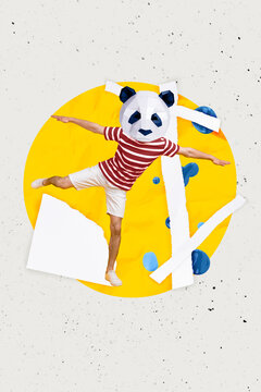 Photo collage artwork minimal picture of funny carefree guy wear panda mask having fun isolated creative background