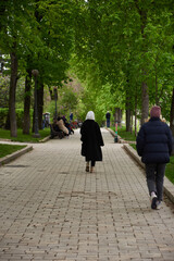 Naklejka premium walk in the park