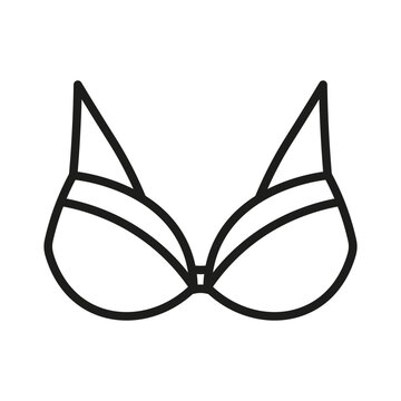 Types of bra. The complete lingerie
