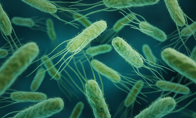 3d illustration of Salmonella bacteria