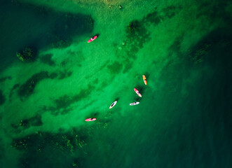 Aerial view group of people at Sup board at lake Kapchagay