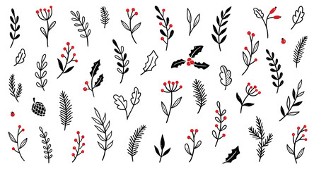 Christmas plant leaf, flower set. Hand drawn doodle sketch holly floral, christmas tree leaves, winter branch elements. Holiday decoration, rustic wreath sketch doodle. Vector illustration. © Polina Tomtosova