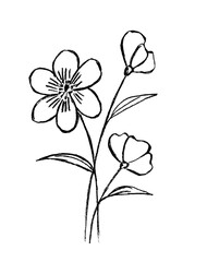Black decorative flowers on a white background
