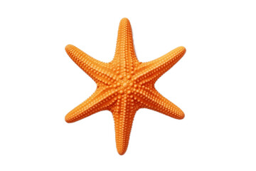 Fototapeta na wymiar Starfish isolated on transparent background - Ocean marine animal. AI