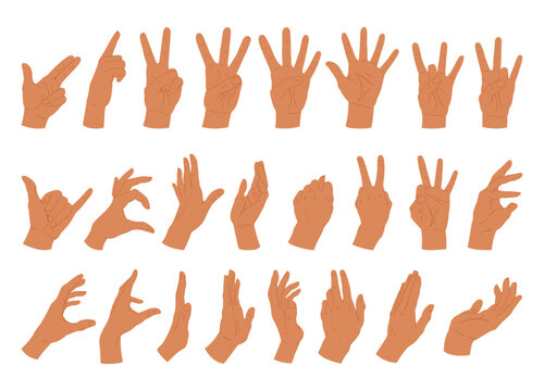 Human hands gestures. Cartoon hand positions, call, ok, index finger and peace sign flat vector illustration set. Sign language collection