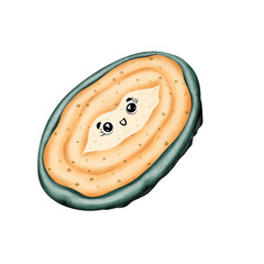 Seafood abalone illustration