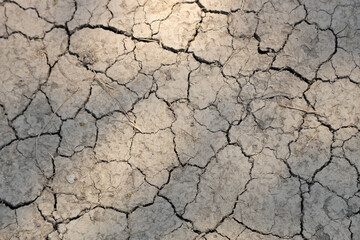 Dry land during a drought.