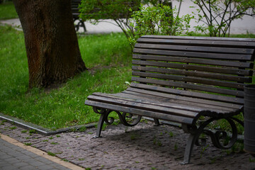 Bench in the park