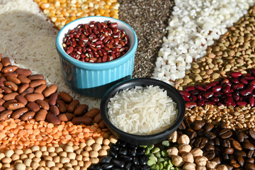 Bowl with raw white rices and beans on various seeds grain