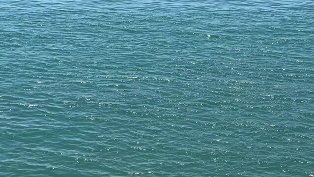 Blue sea water shiny surface.