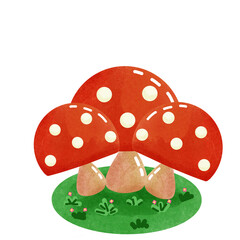fly agaric mushroom