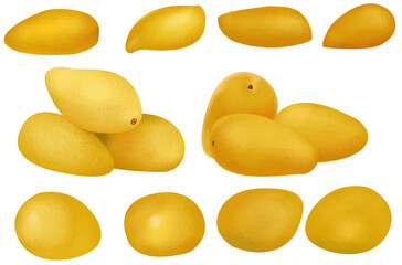 a illustration of yellow mangos in Semi-real artstyle