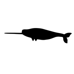 Narwhal silhouette. Predatory marine mammal.Vector graphics.