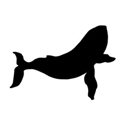 Blue whale aquatic mammal silhouette. Cartoon vector graphics.