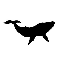 Blue whale aquatic mammal silhouette. Cartoon vector graphics.