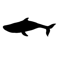 Blue whale aquatic mammal silhouette. Cartoon vector graphics.
