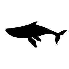 Blue whale aquatic mammal silhouette. Cartoon vector graphics.