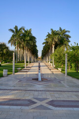 Fototapeta premium Promenade lined with palms in Al-Azhar Park, Cairo, Egypt