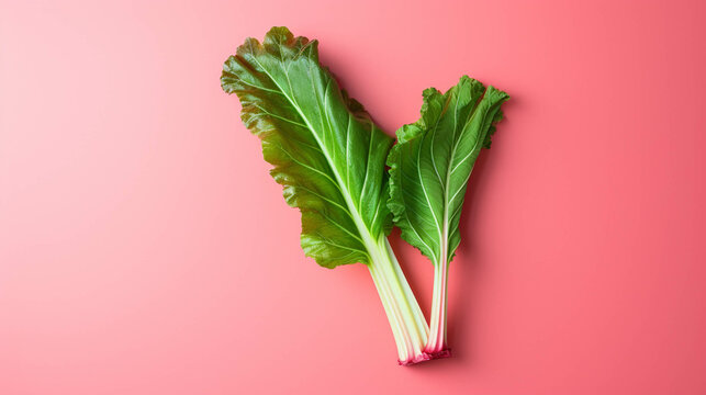 Rhubarb on colorful background. empty copy space on the side for text. Bright Vibrant colors. Generative AI.