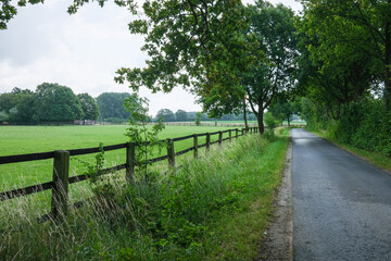 Fototapeta na wymiar road in the countryside with fence to the meadow
