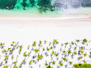 Aerial top copy space view of sun loungers under palm trees on the white sand of a tropical beach with turquoise water in all inclusive resort and hotel. Best summer vacation on the Caribbean sea