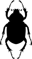 Beetle silhouette vector icon illustration
