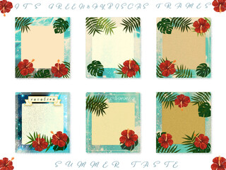 メッセージカード素材【ハイビ・モンステラ・ヤシ】夏のフレーム(・&forall;・)