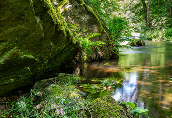 lake in the vogtland forest