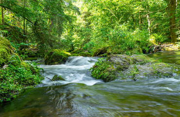 waterfall in the triebtal forest 01