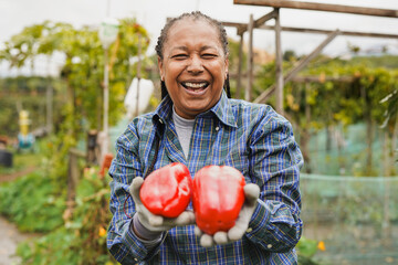 Happy african senior woman holding pepperoni with garden in the background - Harvest and organic vegetables concept