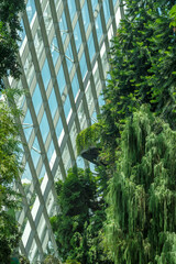 Modern concept of urban greening. Combination of metal structures with plants.