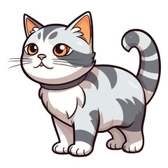 Obraz premium Classic Beauty: The American Shorthair in All Its Glory