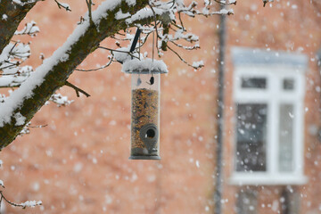 Feed the birds, bird feeder full of seeds for the birds on a cold snowy winters day .