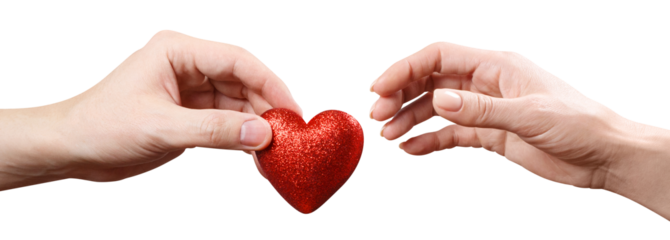 Male and female hands sharing a red love heart, cut out