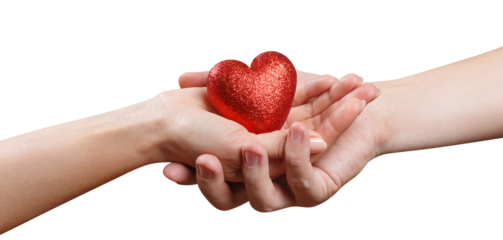 Male and female hand holding a red love heart, cut out